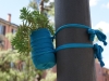Guerrilla gardening
