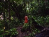 Jungle